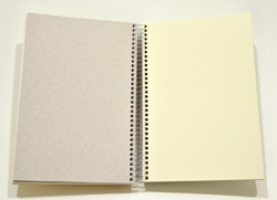 Color-Sketch White